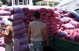 Bawang Impor Mulai Masif Dipasarkan Pedagang di Kediri
