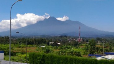 Gara-gara ‘5 Cm’, Milenial Suka Mendaki Gunung Gede