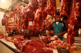 Izin Terlambat, Berdikari Hanya Impor 1.000 Ton Daging Kerbau