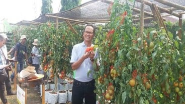 Edukasi Budi Daya Hortikultura, Ewindo Gelar Expo Nasional Kenalkan Teknologi