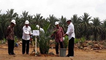 Dari Perkebunan Sawit, Ini Harapan Jokowi terhadap Industri CPO