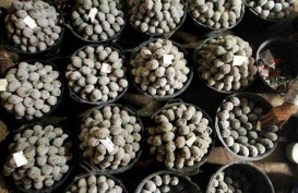 Tol Brebes-Pemalang Dibuka Dikhawatirkan Omzet Pedagang Telur Asing