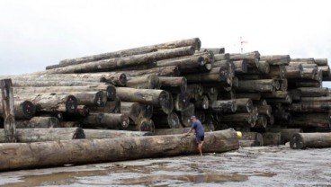 Penurunan Kayu Bulat Tak Berimbas ke Industri Pengolahan