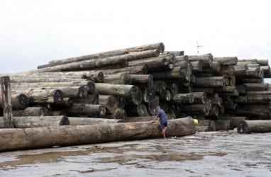 Penurunan Kayu Bulat Tak Berimbas ke Industri Pengolahan