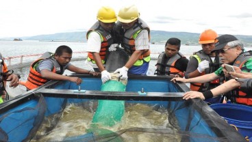 Japfa Comfeed Berkomitmen Jaga Lingkungan di Kawasan Danau Toba