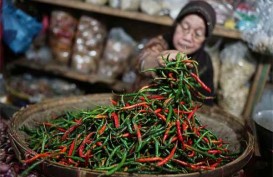 Amankan Pasokan Bawang Merah dan Cabai, KTNA Ambil Peran Baru Sebagai Distributor