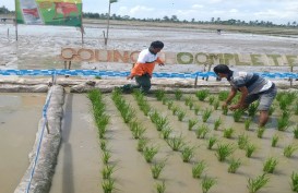 Kendalikan Gulma, Bayer Indonesia Luncurkan Herbisida Council Complete