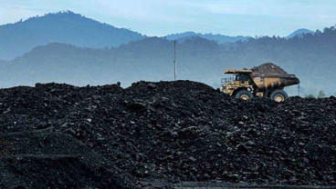 Harga Batu Bara Kian Menjulang
