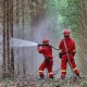 RAPP Siagakan Personil Cegah Kebakaran Hutan