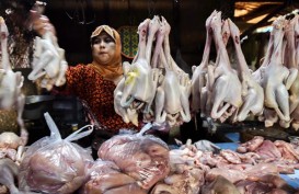 Harga Daging Ayam Naik Rp5.000 pada Pekan Pertama Ramadan