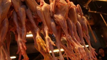 Bulog Bengkulu Siapkan Ayam Potong Beku Satu Ton