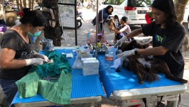 Denpasar Gencar Gelar Vaksinasi Antirabies