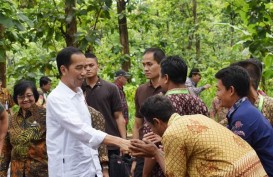 REFORMA AGRARIA: 977.824 ha Kawasan Hutan Telah Dilepas