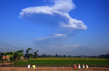 Erupsi Merapi, Abu Vulkanik Bergerak ke Barat Daya