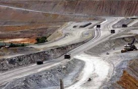 Ini Realisasi Ekspor Konsentrat Tembaga Amman Mineral dan Freeport