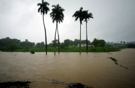 Badai Alberto Menuju Florida, Ribuan Warga Dievakuasi