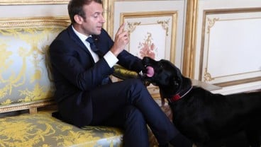 Selamatkan Anak, Imigran Gelap Prancis Dapat Hadiah dari Macron