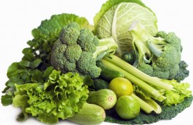 Hidup Sehat Dengan Detox, Perbanyak Konsumsi Sayuran dan Buah