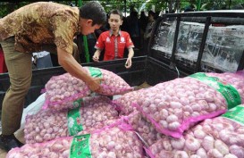 Mentan : Importir Bawang Putih Nakal Digantikan BUMD