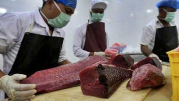 Agar Kantongi Harga Premium, Industri Tuna Diimbau Ikut Sertifikasi