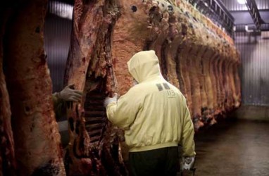 Bulog Manado Pasarkan Daging Impor Asal India