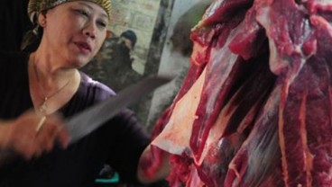 15.500 ton Daging Kerbau Siap Digelontorkan ke Pasar 