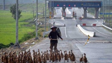 Mudik Lewat Tol Ngawi-Wilangan, Baca Kondisi Ini