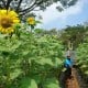 Tiga Lokasi Wisata Paling Terekomendasi di Gunungkidul