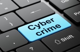 Cyber Crime: Tidak Ada Komunikasi antara Menteri Pertanian dan Bupati Pandeglang