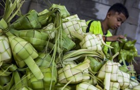 Berburu Selongsong Ketupat