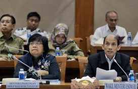 Menteri Siti Prihatin, Pemudik Buang Sampah Sembarangan