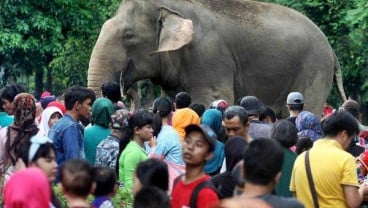 Libur Lebaran, Ragunan Siapkan 26 Kantong Parkir