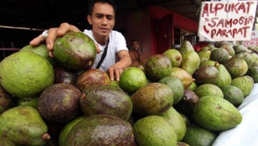 TIPS KECANTIKAN: Ini 5 Jenis Pelembab Alami yang Ada di Dapur Anda