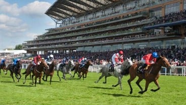 4 Hal  Perlu Anda Tahu tentang Balap Kuda Royal Ascot