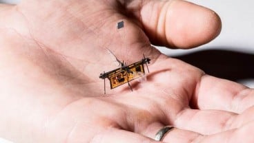 RoboFly Berukuran Lalat Bertenaga Laser