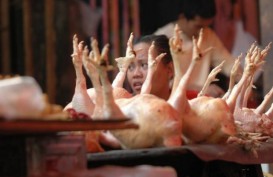 Operasi Pasar Tak Mampu Tekan Harga Daging Ayam