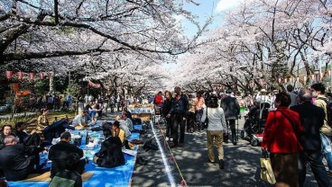 Berlibur ke Tokyo? Jangan Lewatkan 9 Tempat Ini!
