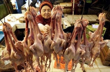 Harga Daging Ayam di Solo Mulai Turun Menjadi Rp45.000/Kilogram