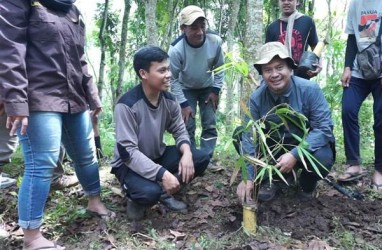 Tanam Bambu, UMM Dorong Konservasi Sumber Air