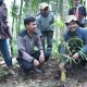 Tanam Bambu, UMM Dorong Konservasi Sumber Air