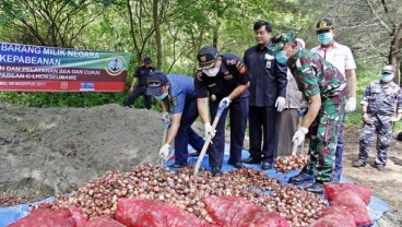 Importir Nakal Raup Untung Rp1,6 Triliun dari Bawang Bombai Ilegal
