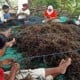 Mahasiswa Unair Olah Rumput Laut jadi Pengganti Gelatin dalam Es Krim