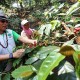 Kesejahteraan Petani, HKTI Dorong Modernisasi dan Teknologi Pertanian