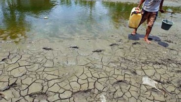 Penanggulangan Kekeringan di NTT Perlu Rp20 Miliar