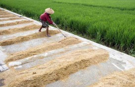 NTP Juni Meningkat di Tengah Tingginya Inflasi