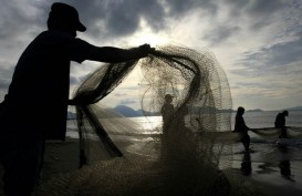 Mukomuko Selidiki Penangkapan Ikan dengan Racun