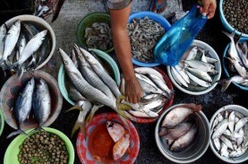 Harga Ikan Laut di Pasar Tradisional Bangka Naik Terimbas…