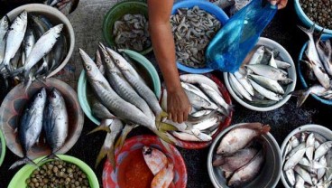 Harga Ikan Laut di Pasar Tradisional Bangka Naik Terimbas Cuaca