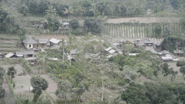 AKTIVITAS GUNUNG AGUNG, Sebagian Petani di Karangasem Gagal Panen