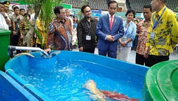 Jokowi: Belum Ada Menteri yang Ingin Jadi Caleg